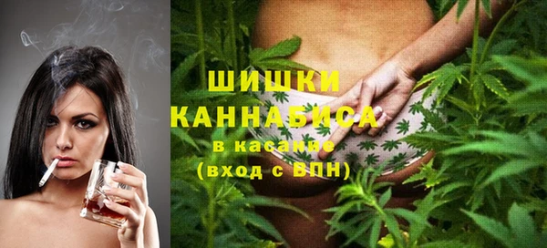 сатива Корсаков