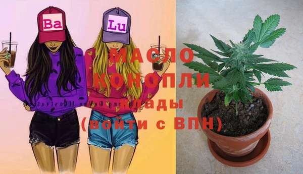 сатива Корсаков