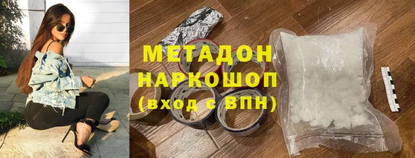 сатива Корсаков