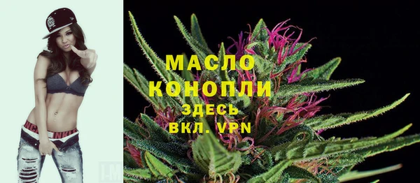 сатива Корсаков