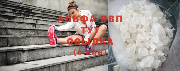 сатива Корсаков