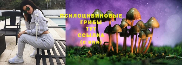 герыч Коряжма