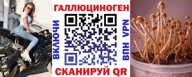 кракен ТОР  Юрьев-Польский  Псилоцибиновые грибы Cubensis 